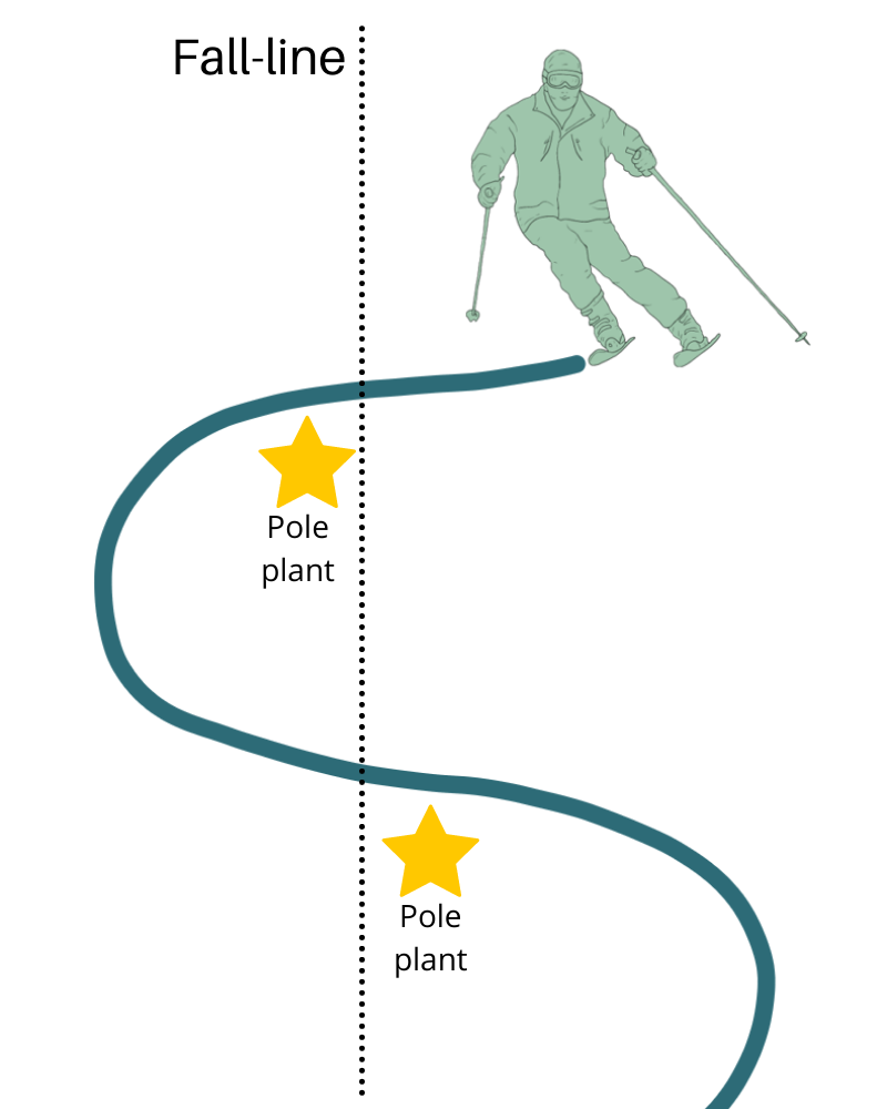 A diagram showing where you should pole plant in relation to the fall-line.